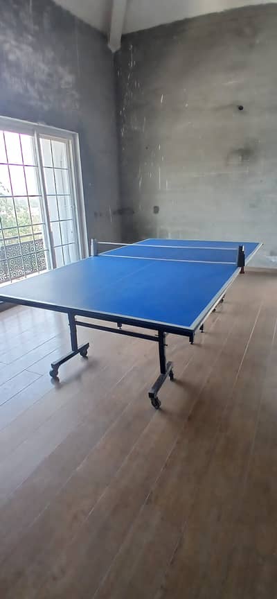 Table tennis very fantastic to play with