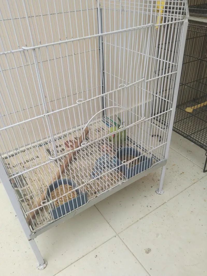 Urgent Sale — photo 4