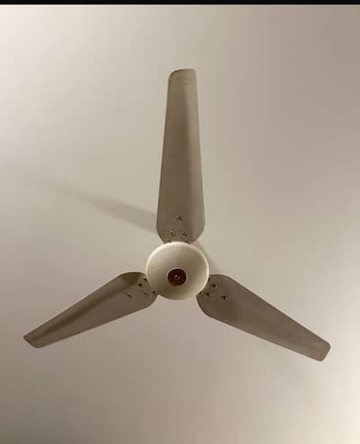 Millat ceiling fans