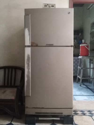 PEL Double Door Fridge Sale
