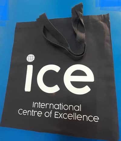 Tote Bags Cotton/Canvas Fresh Export Quality