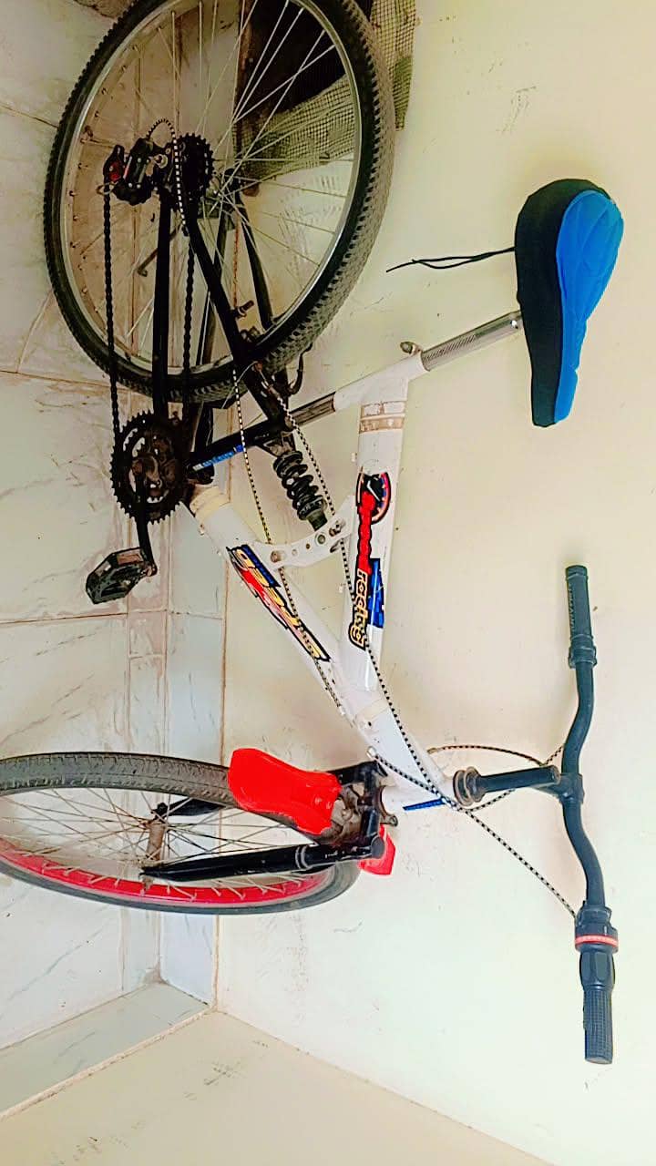 cycle 2