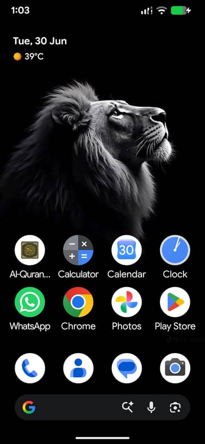 Google Pixel 6 Pro with charger