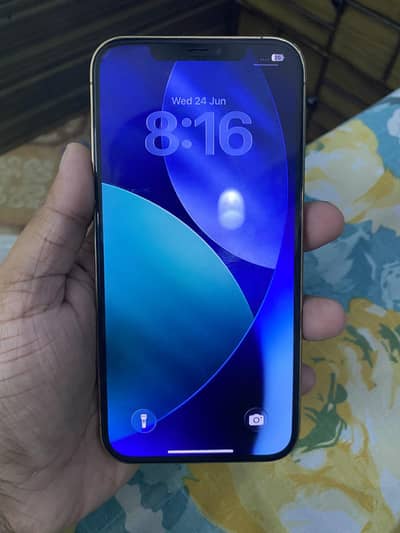 Apple iPhone 12 Pro Max