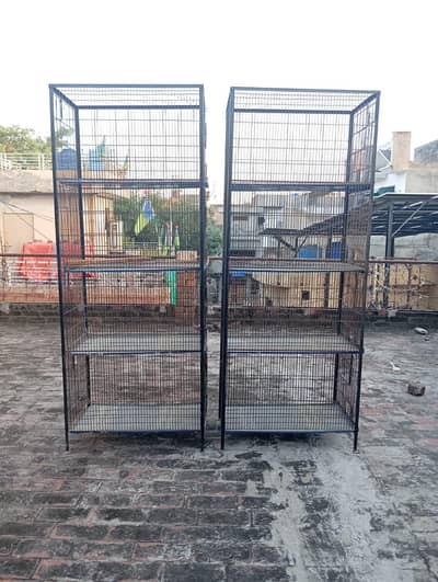 iron cage