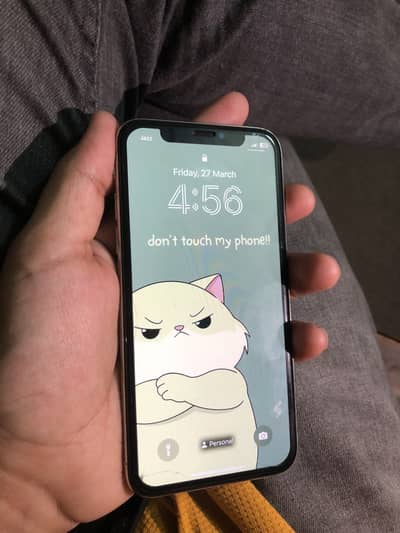 Apple iPhone X