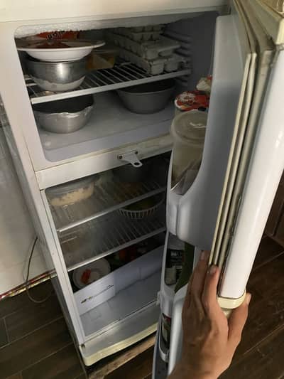 Pel medium size fridge