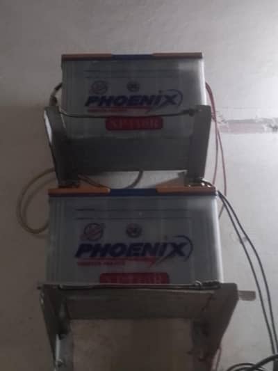 2 Original Phoenix Tubular Lead Acid Batteries (12V each)