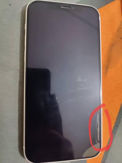 Apple iPhone 12