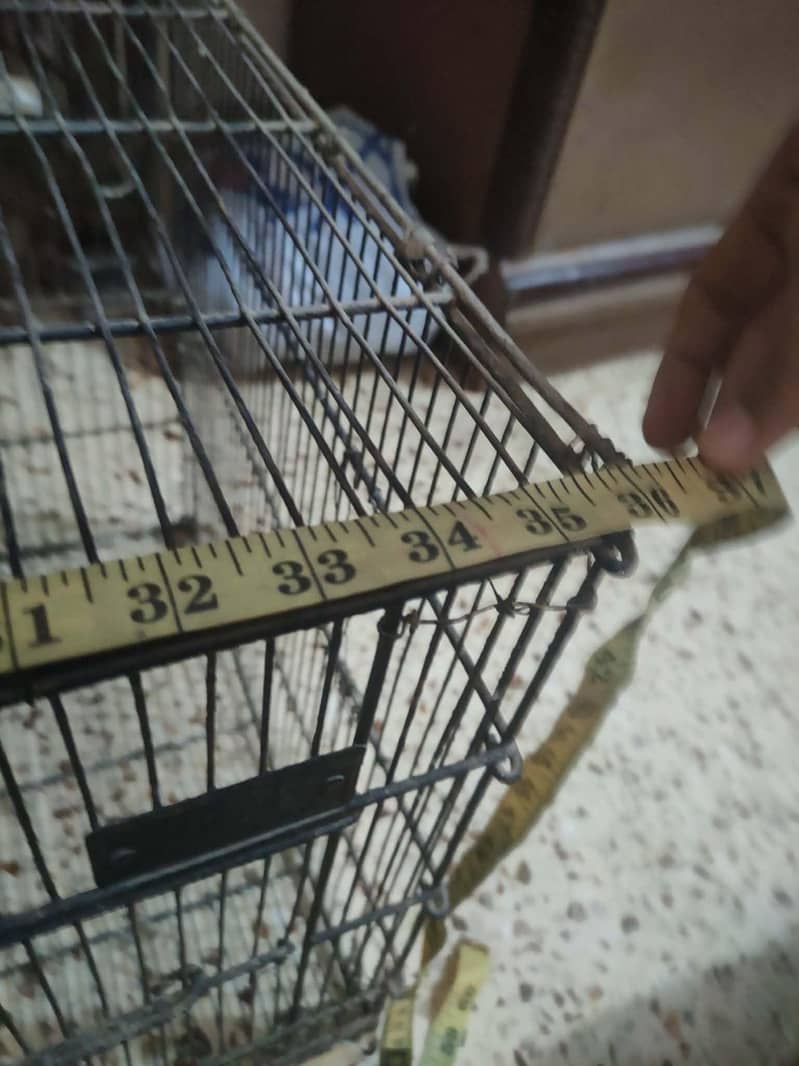 cages 1