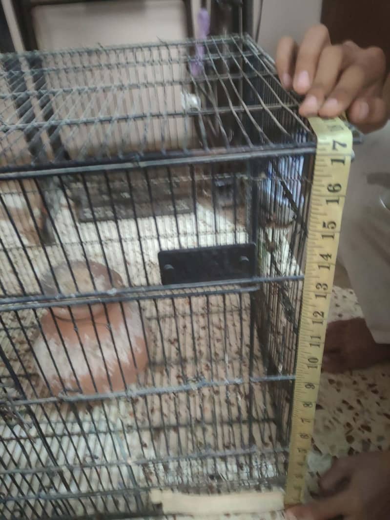 cages 2