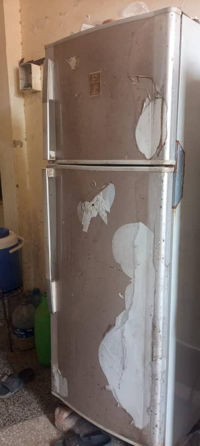 Home fridge