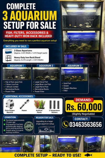 3 Aquarium Complete Setup with Iron Rack, Fish, Filters & Accessories