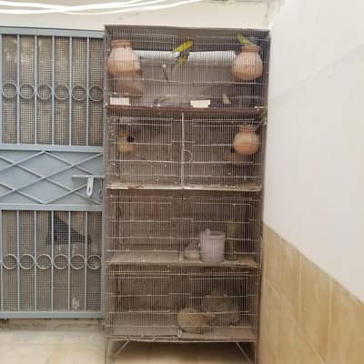 CAGE for sale along with 8 parrots