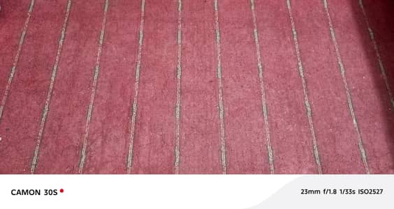 carpet