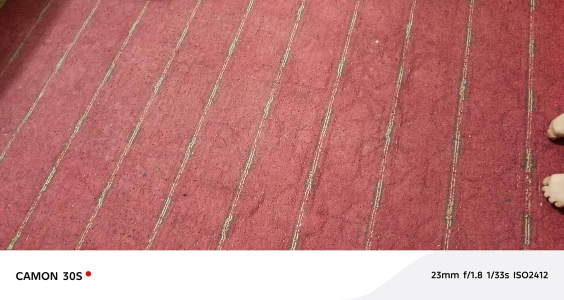 carpet 2