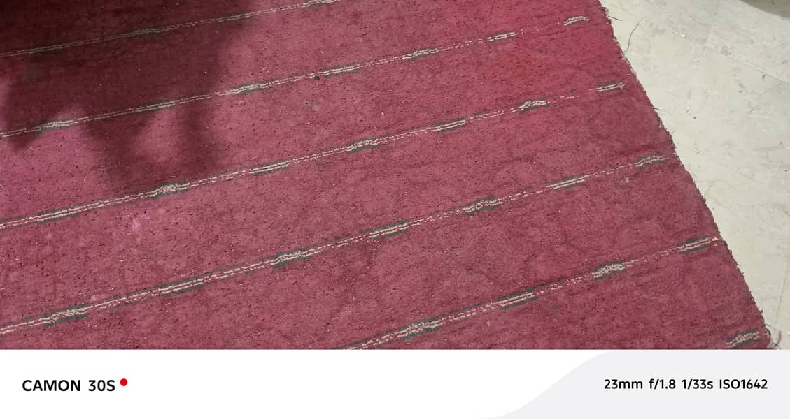carpet 3