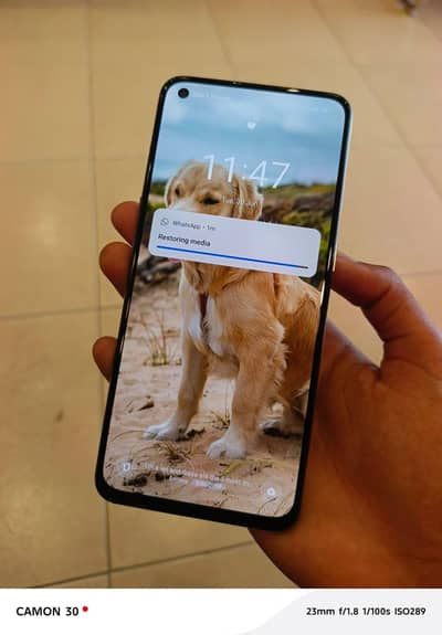 Realme GT Master Edition