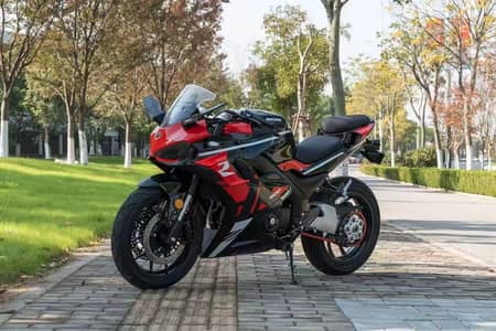 Ducati replica (ducasu)
