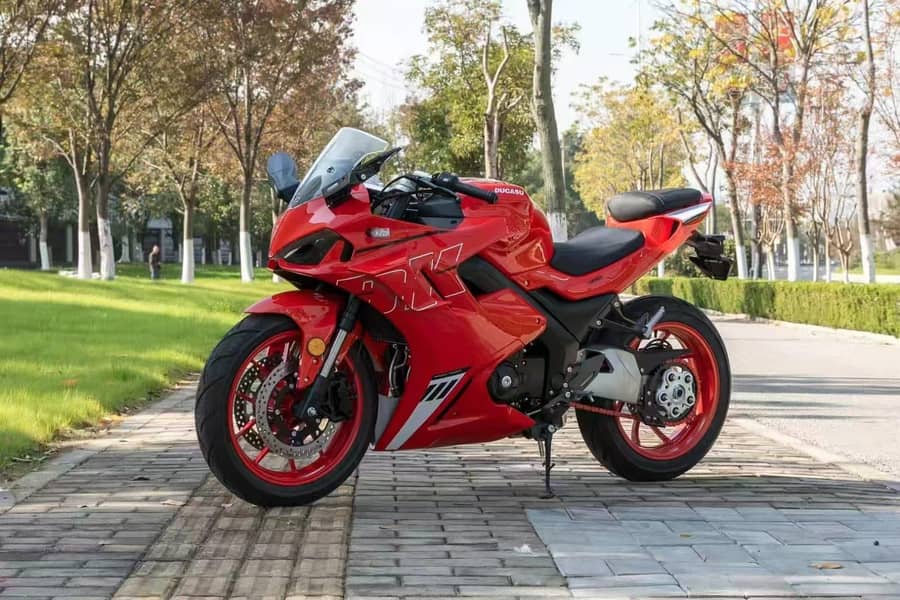 Ducati replica (ducasu) 5