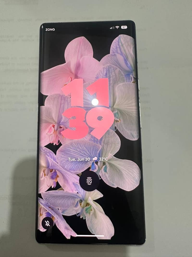 Google Pixel 6 Pro 1