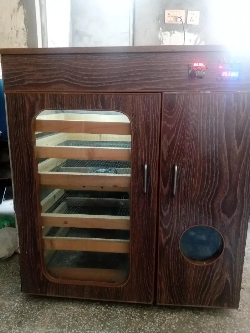 Large Capacity Egg Incubator (500-520 Eggs) for Sale — photo 6