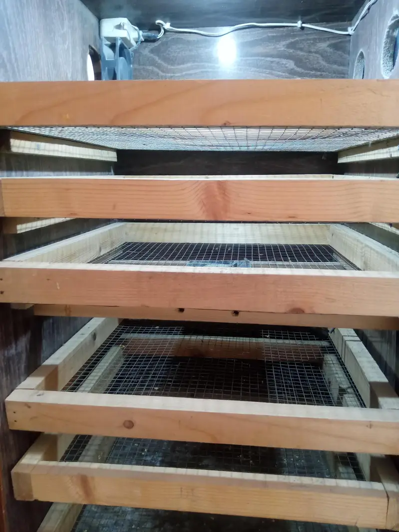 Large Capacity Egg Incubator (500-520 Eggs) for Sale — photo 7