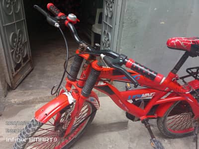 Lion king imported cycle achi condition hai