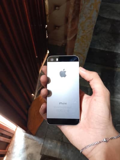 Apple iPhone 5s