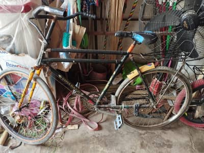China cycle_Good condition me hai_value for money_