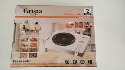 Gropa Portable Electric Cooker