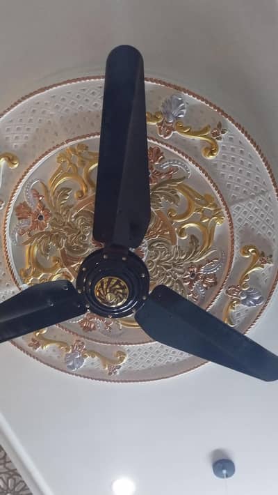 2 fans but good conditions. . .
