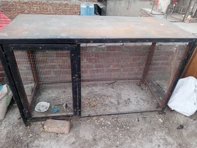 iron cage