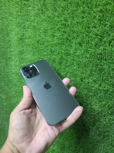 Apple iPhone 13 Pro Max