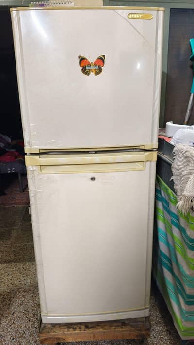 orient fridge