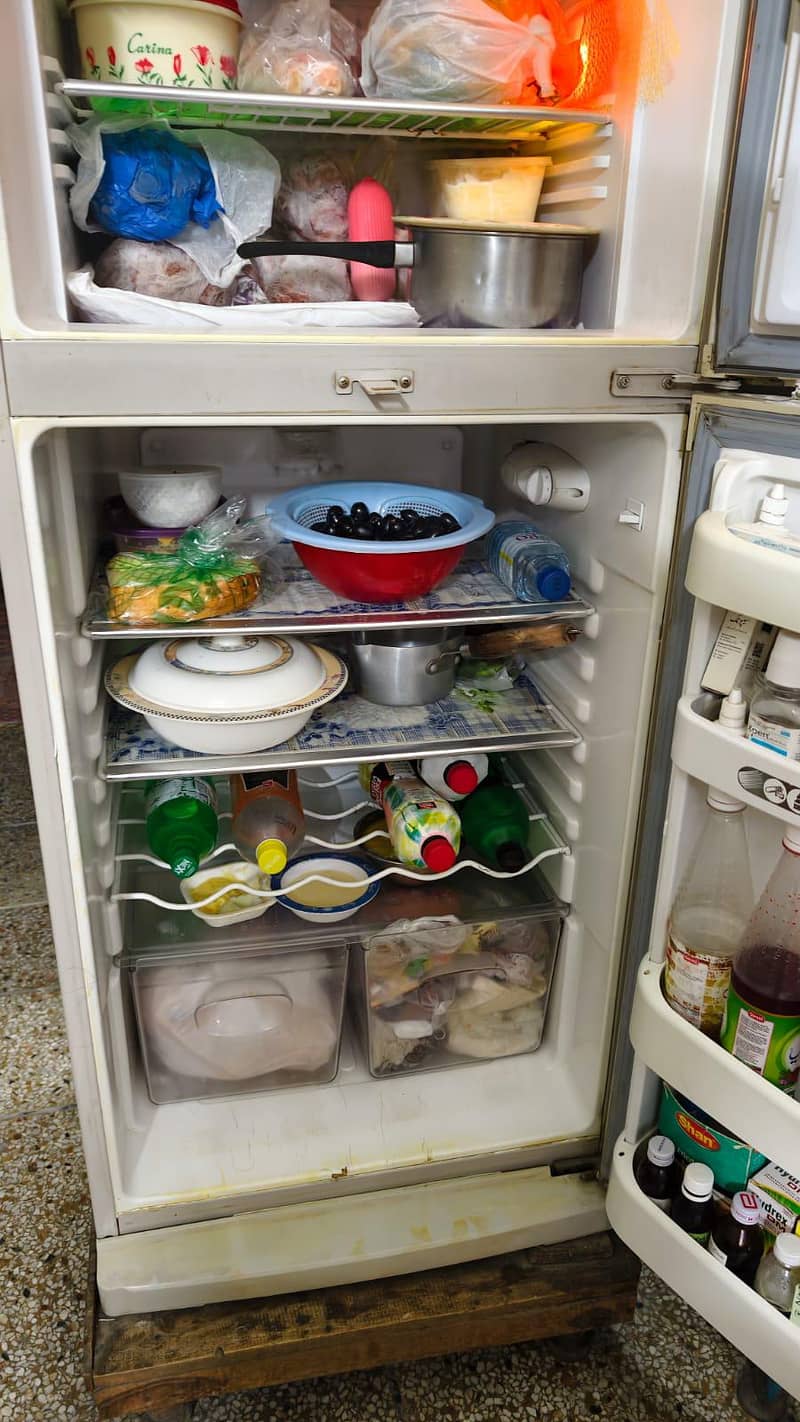 orient fridge 2
