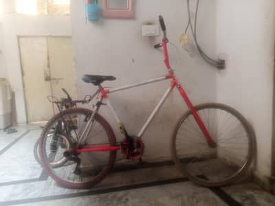 cycle best