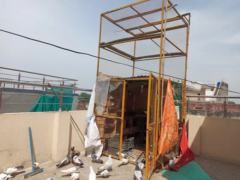 cage for sale — photo 3