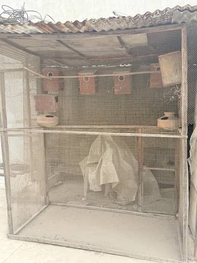 Cages available for sale