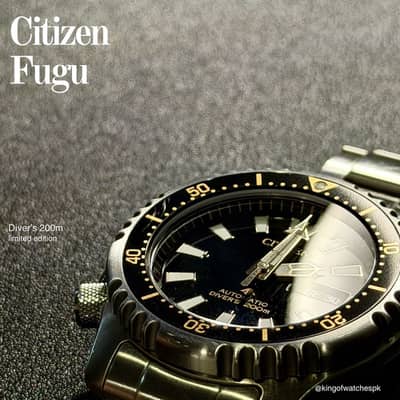 Citizen fugu limited edition 42mm