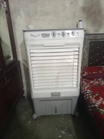 Bilkul new hay 3 month hay