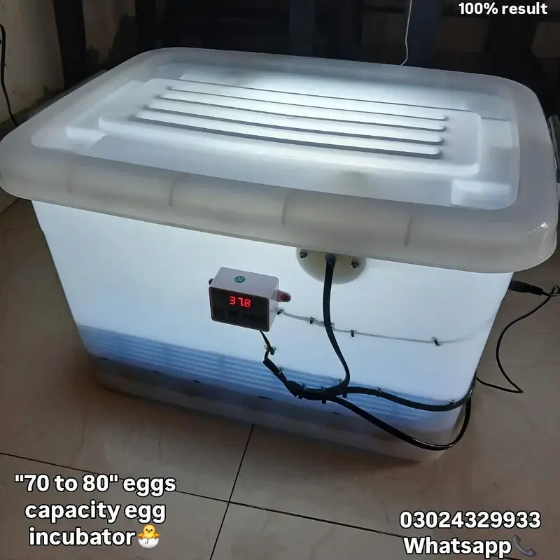 70 to 80 egg incubator manual or fresh and brand new incubator — photo 2