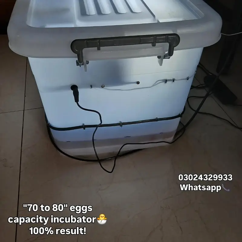 70 to 80 egg incubator manual or fresh and brand new incubator — photo 3