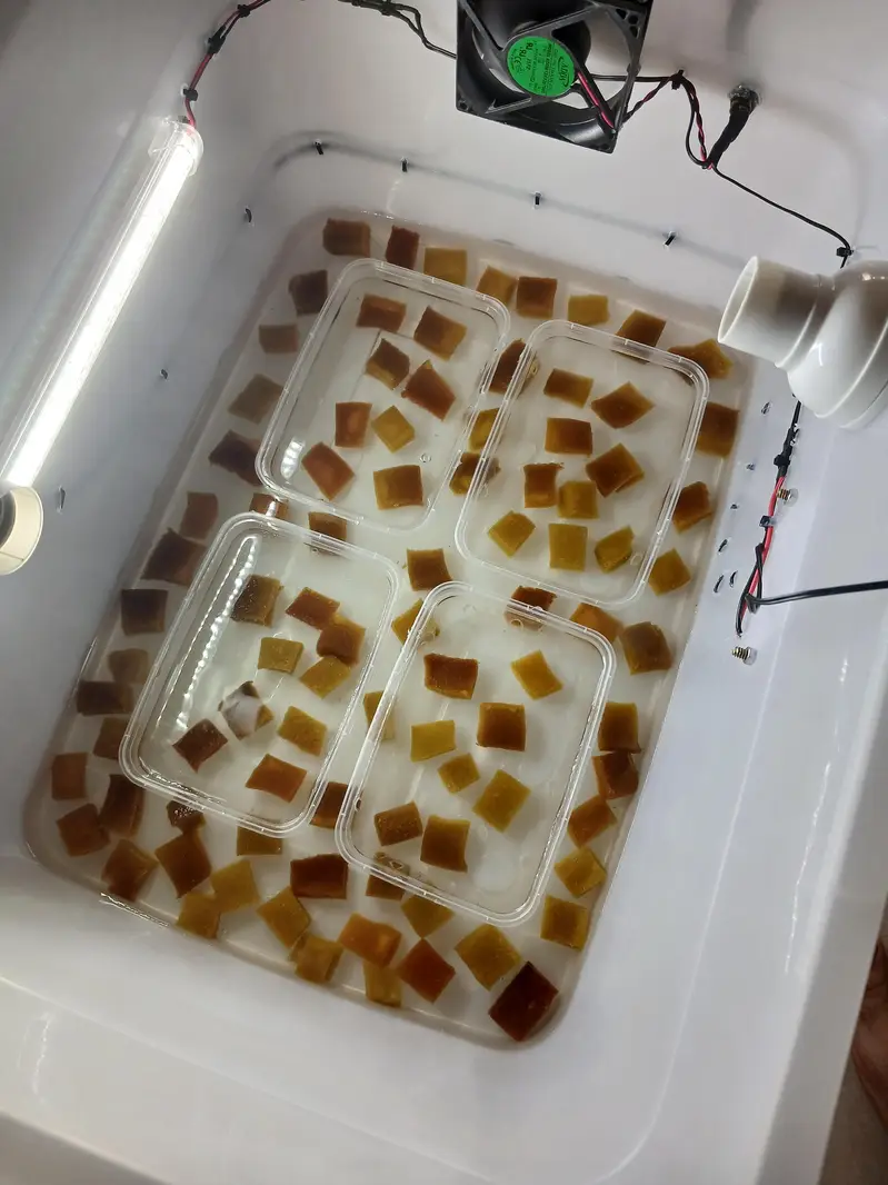 70 to 80 egg incubator manual or fresh and brand new incubator — photo 10