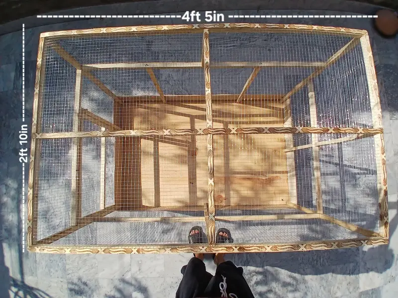 Premium Quality Large Bird Cage — photo 3