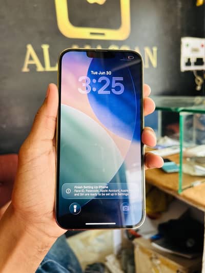 Apple iPhone 13 Pro Max