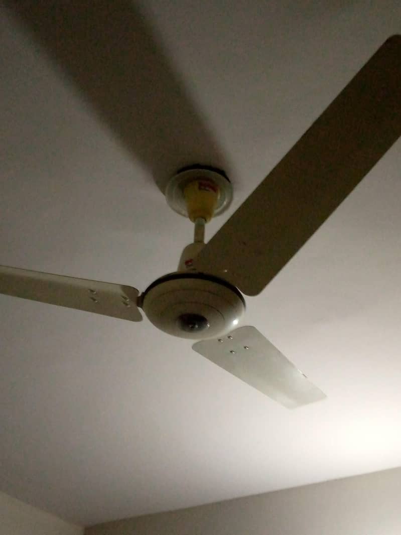 Ceiling Fan 1