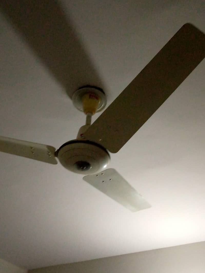 Ceiling Fan 2