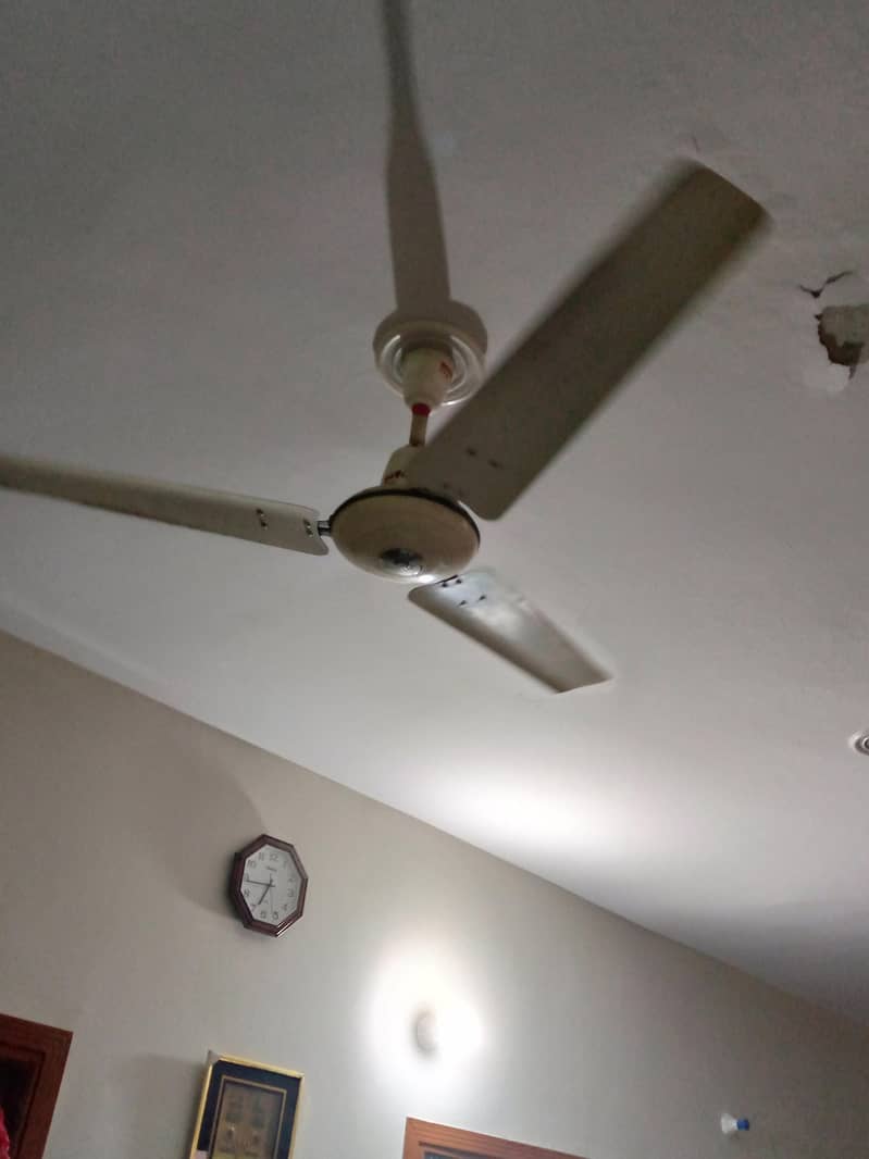Ceiling Fan 3