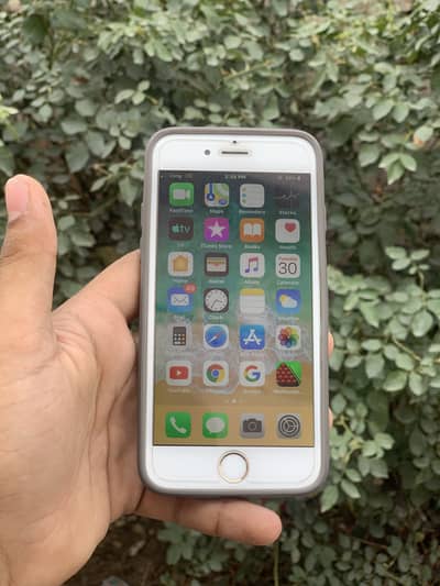 Apple iPhone 6